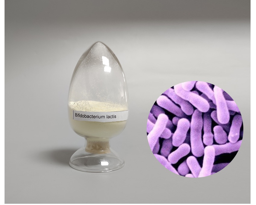 Bifidobacterium lactis-4_1