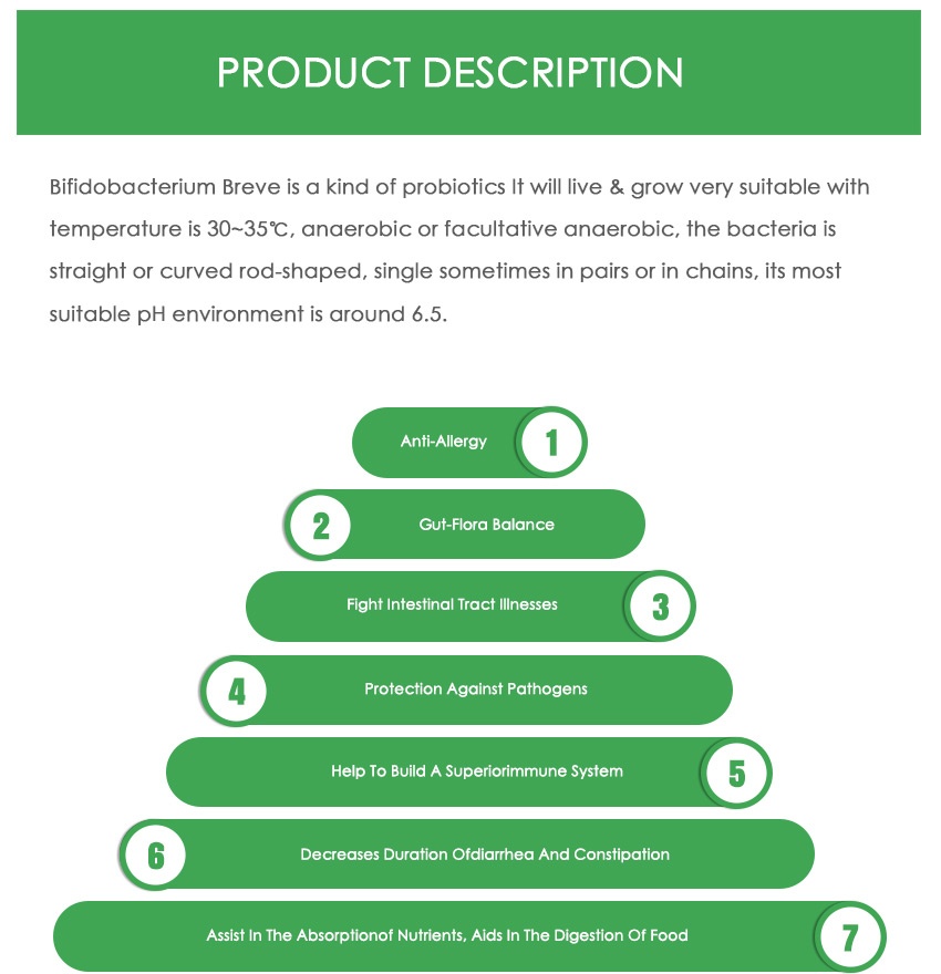 Bifidobacterium Breve-3_1