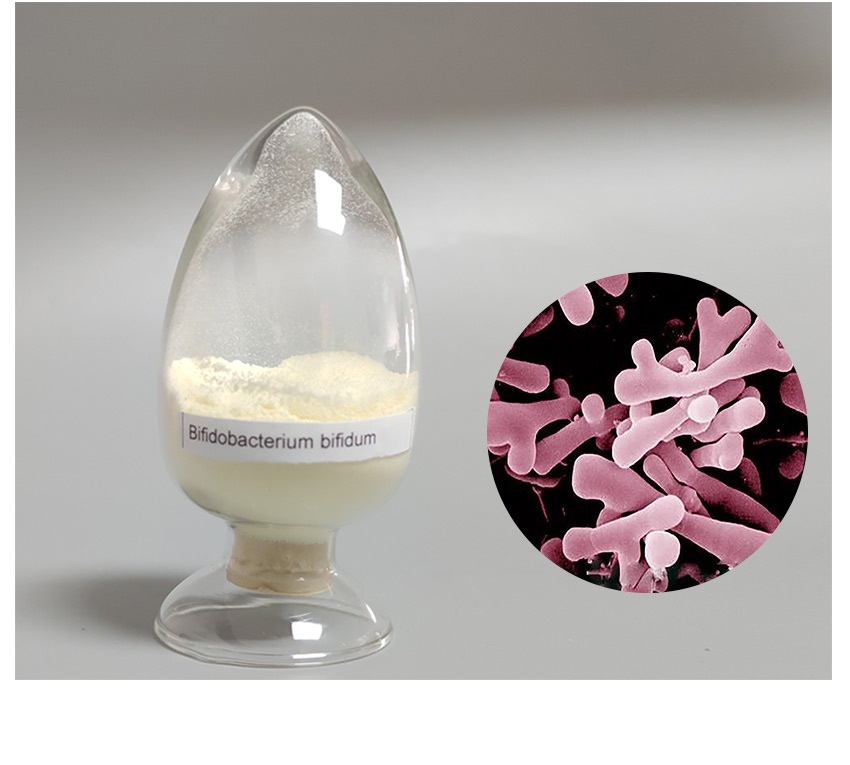 Bifidobacterium bifidum-4