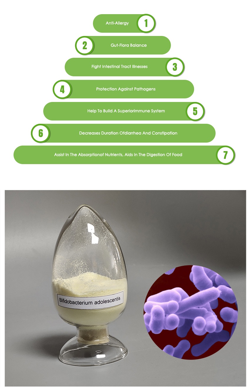 Bifidobacterium Adolescentis-product description-1