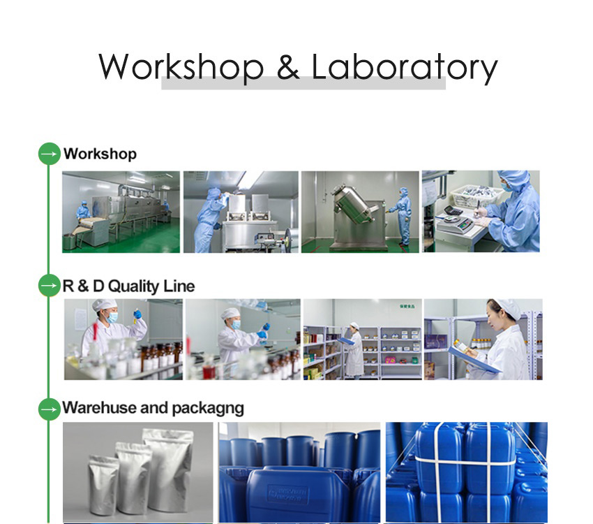 Workshop & Laboratory