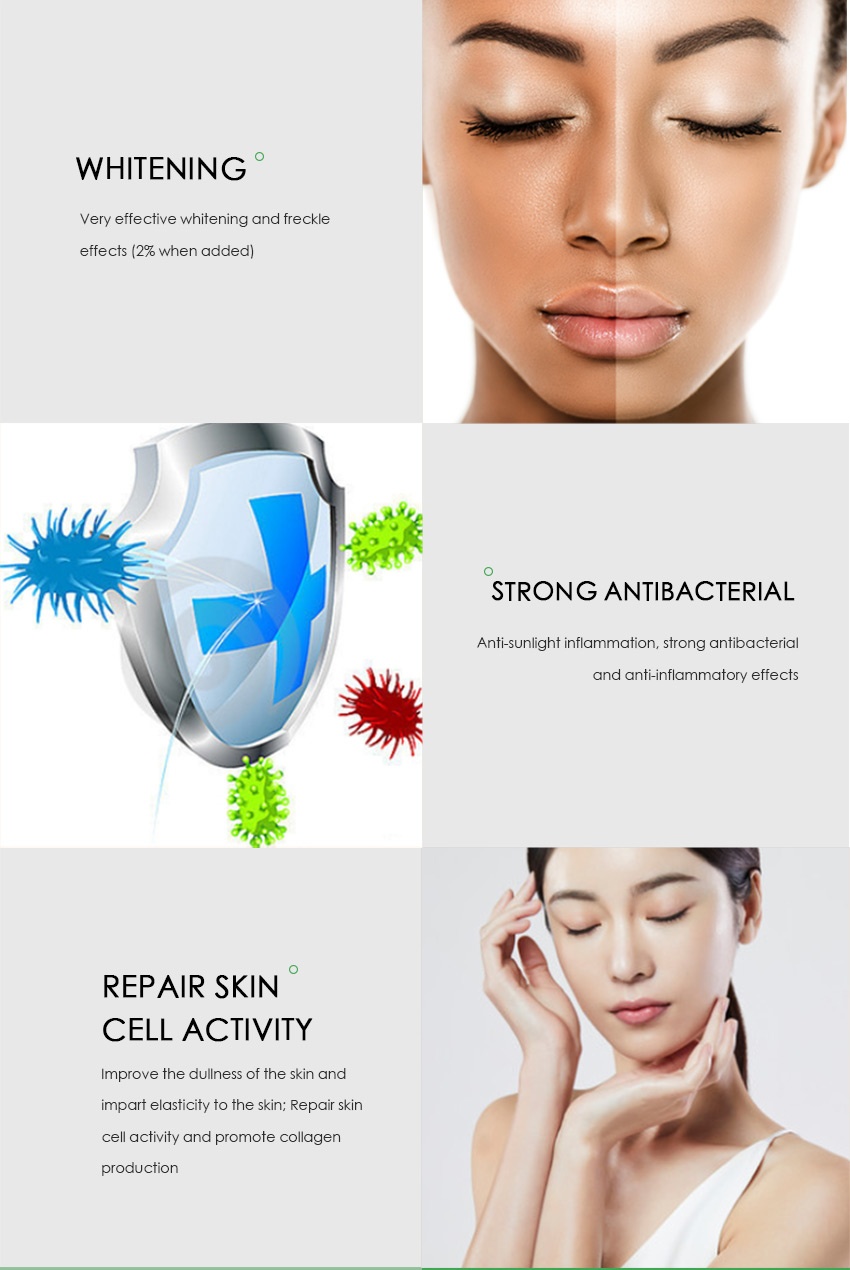 Vitamin C Ethyl Ether-5