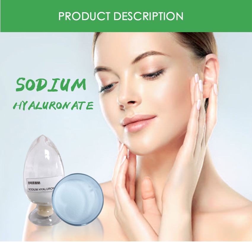 Sodium Hyaluronate-3