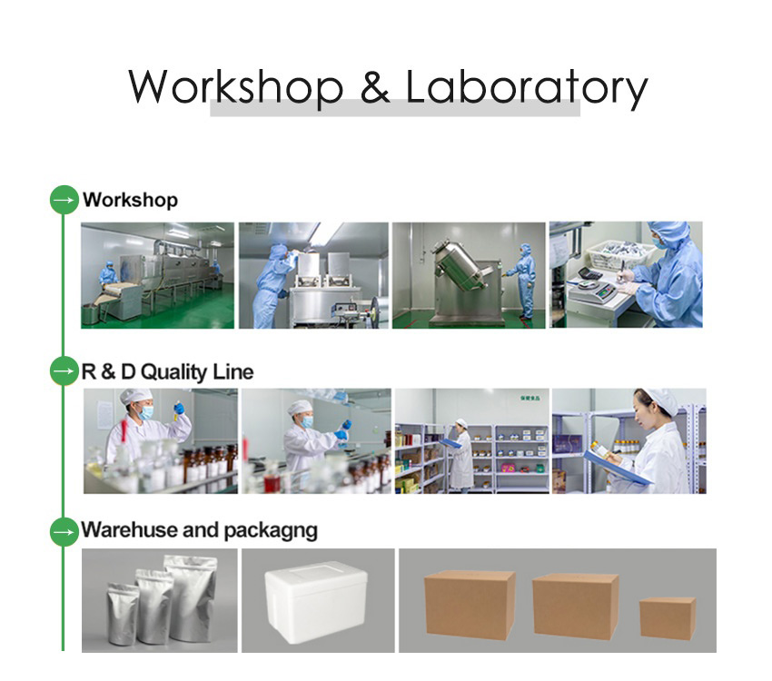 Workshop & Laboratory