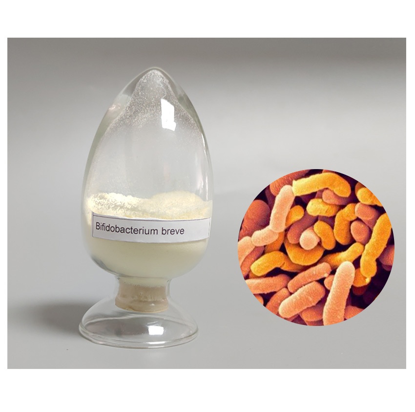 Bifidobacterium Breve-4_1
