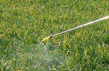 Glyphosate herbicide