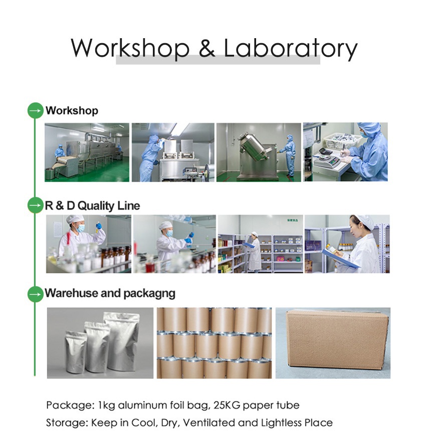 Sodium Hyaluronate-Workshop & Laboratory