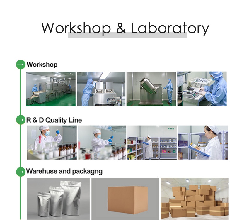 Workshop & Laboratory