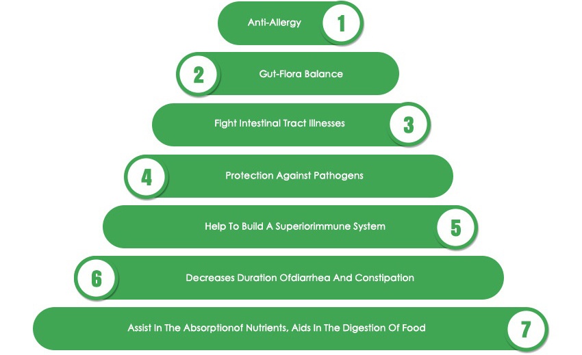 Bifidobacterium Infantis-3_1_1